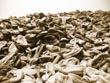auschwitz shoes - powerpoint graphics