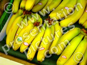 bananas - powerpoint graphics