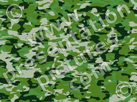 camouflage green - powerpoint graphics