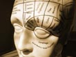 phrenology head - powerpoint graphics